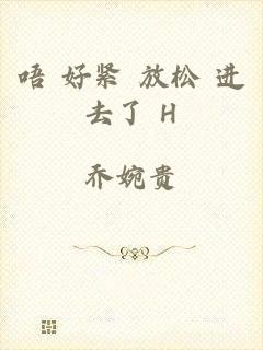 唔 好紧 放松 进去了 H